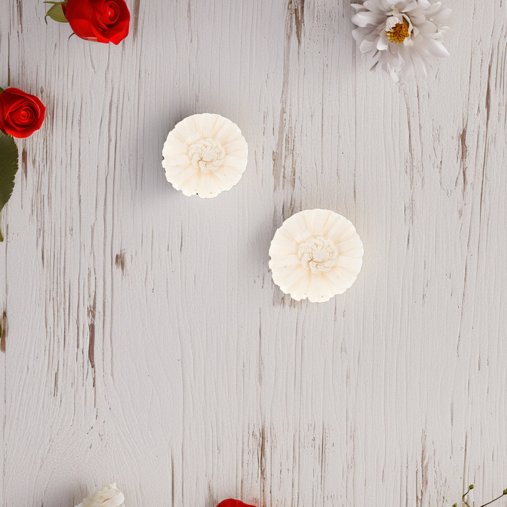 Diffuseur de fleurs de chrysan - Home Fragrance Usa avis et prix